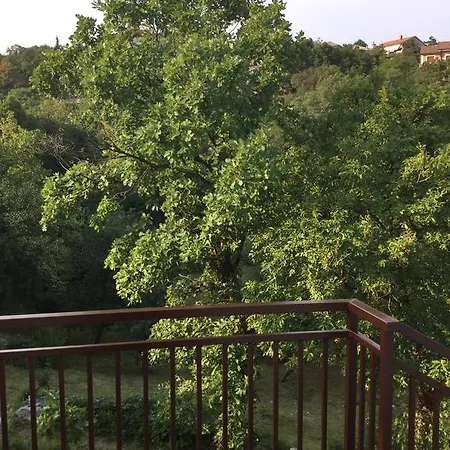 Apartman Filipovic Buzdohanj