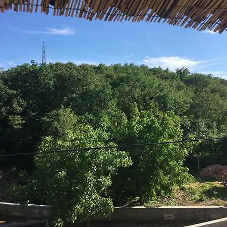 Apartament Filipovic *